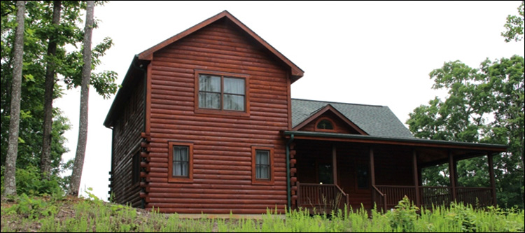 Professional Log Home Borate Application  Lee County,  North Carolina
